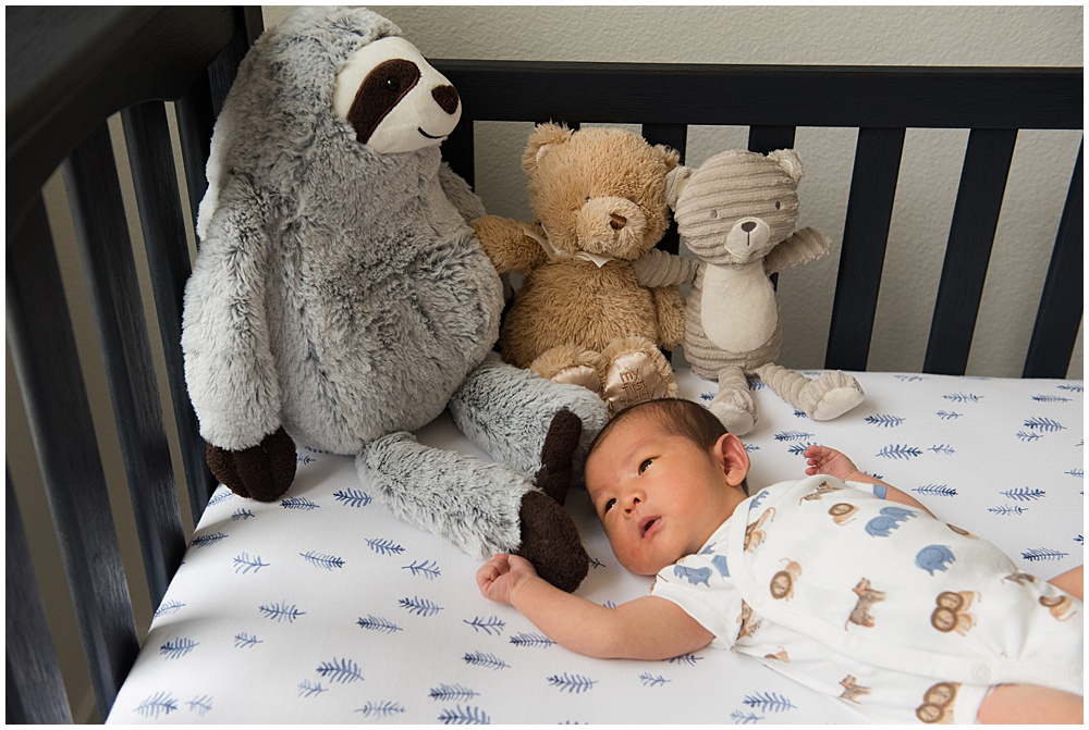 Baby Paxton: Beaverton Lifestyle Newborn Photography
