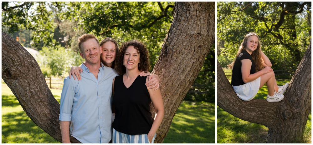 family photo near large tree